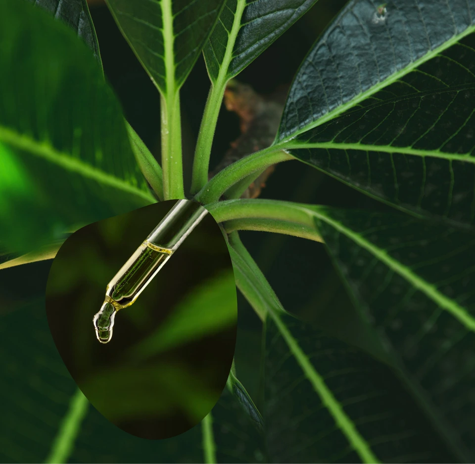 Eco-Conscious Commitment