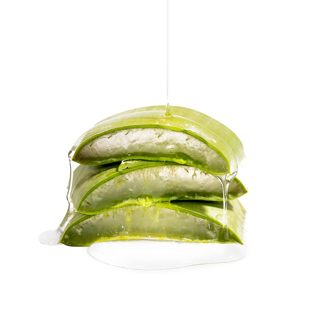 Gel douche Arbre à Thé & Menthe